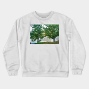 Two oak trees on edge in early morning fog j Crewneck Sweatshirt